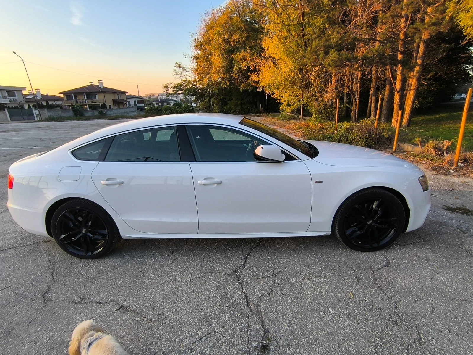 Audi A5 4x4 SportBack - изображение 9