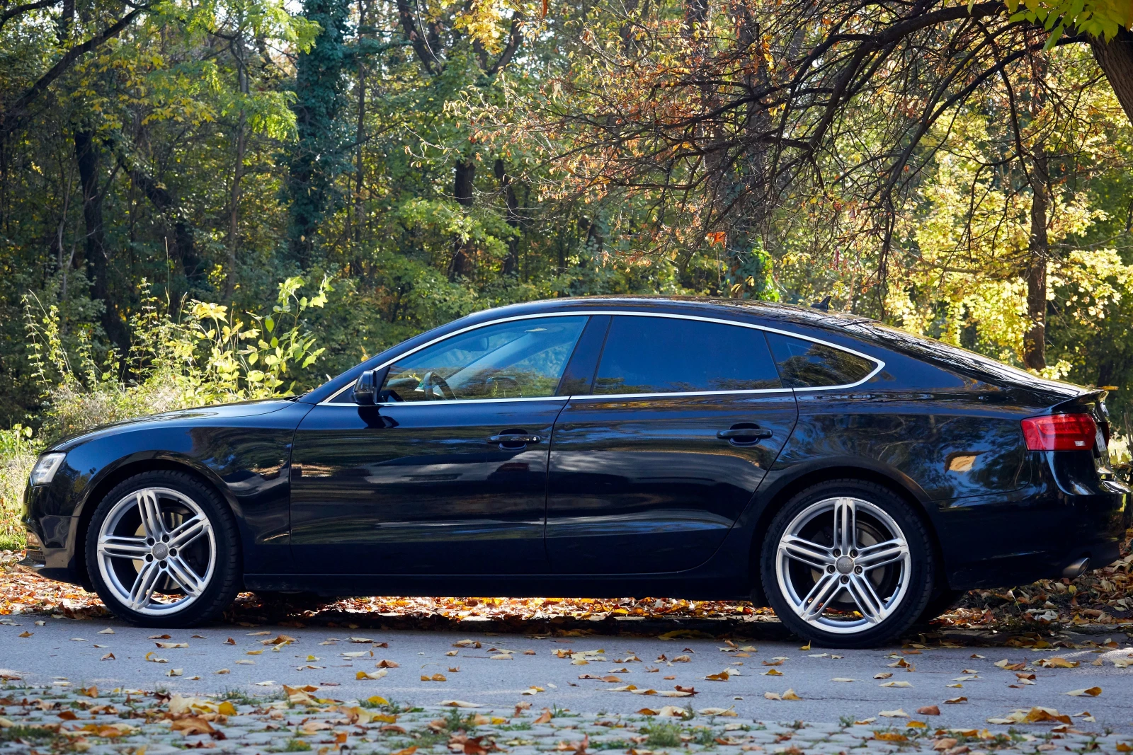 Audi A5 Sportabck 3.0 quattro S-tronic Bi-Xenon - изображение 5