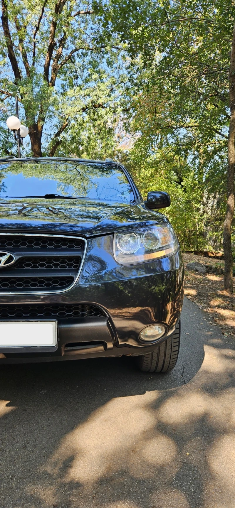 Hyundai Santa fe 2.0 CRDI - Автомат, Кожа, 4WD, 7 места-Перфектен!, снимка 7 - Автомобили и джипове - 52314066