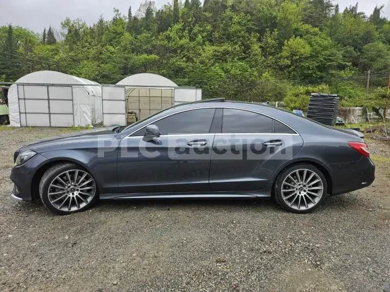 Mercedes-Benz CLS 400 AMG PACK* 4MATIC* BANG & OLUFSEN* ОБДУХ* AMBIENT* , снимка 6 - Автомобили и джипове - 54078837