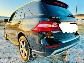 Mercedes-Benz ML 250 - 13500 € / 26403.70 лв. - 36171930 2