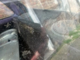 Fiat 126 undefined | Auto.bg — изображение 8