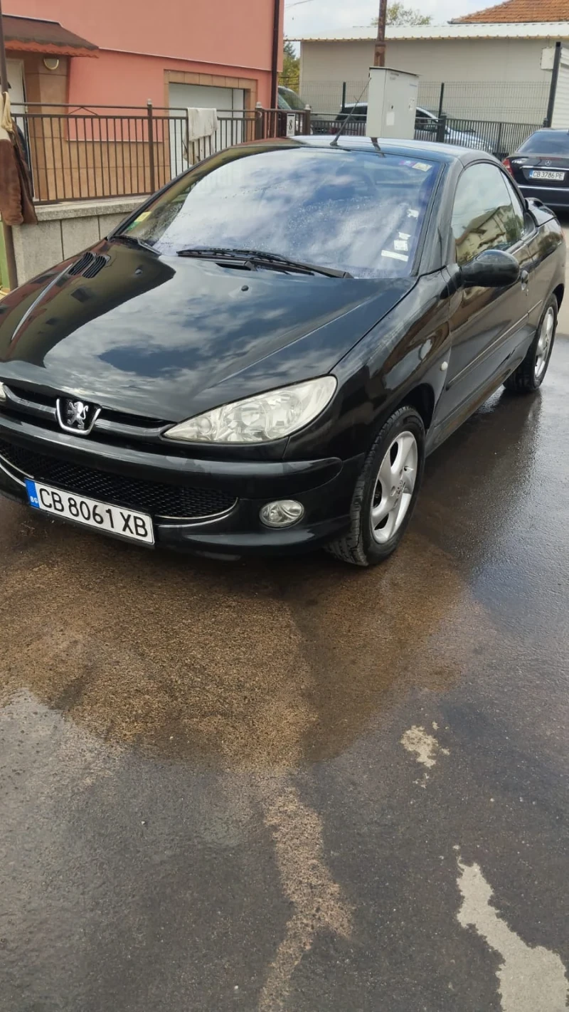 Peugeot 206 1.6, снимка 1 - Автомобили и джипове - 47804694