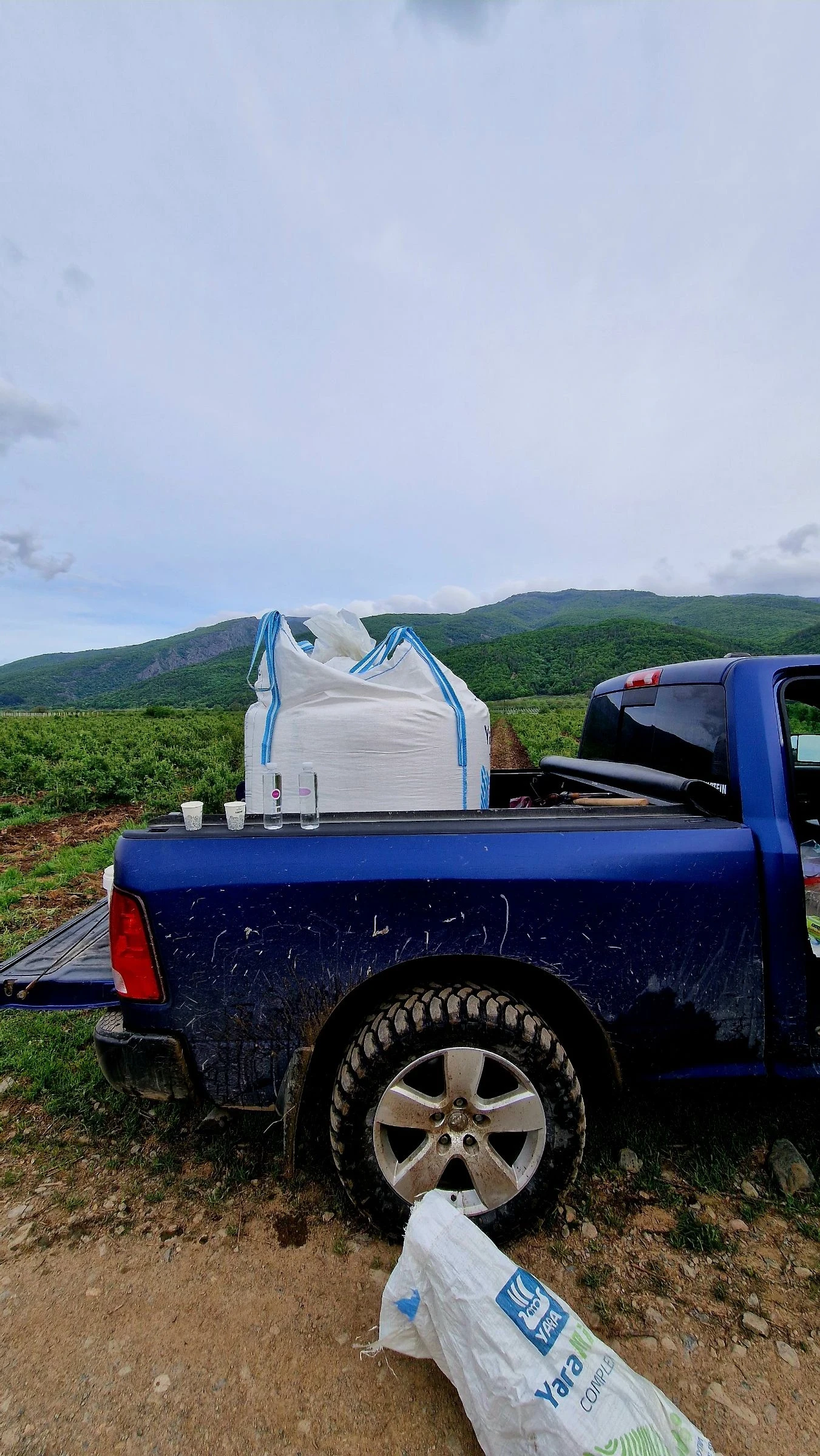 Dodge RAM 1500 | Mobile.bg � ����������� 13