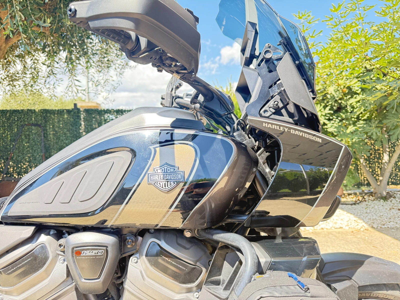 Harley-Davidson Touring Pan America 1250 Special - изображение 6