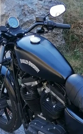 Harley-Davidson Sportster 883 | Mobile.bg    3