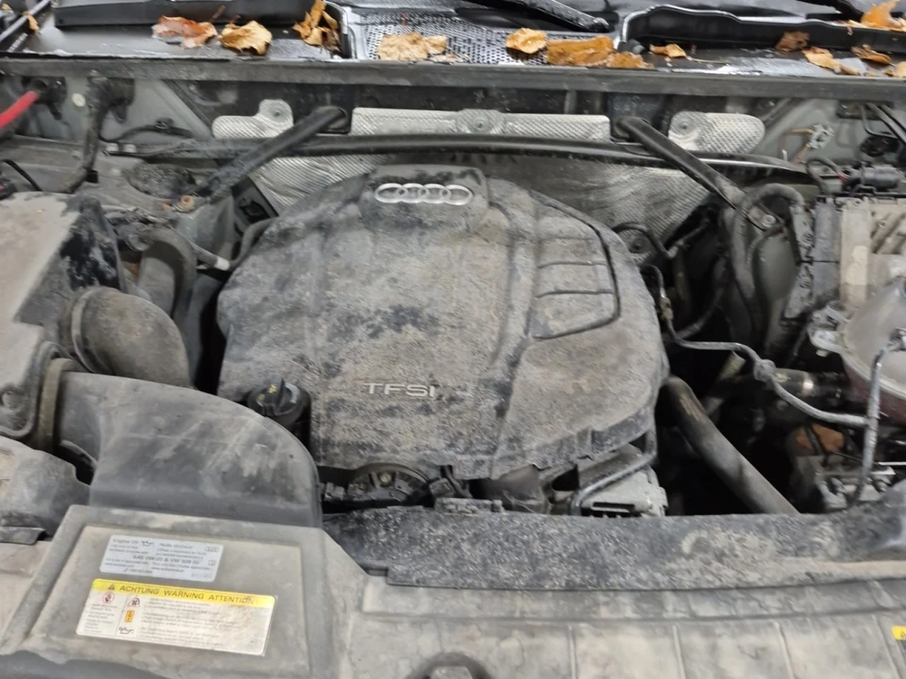 Audi Q5 * PROGRESSIV* * *  | Mobile.bg   6