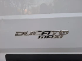 Fiat Ducato   | Mobile.bg    14