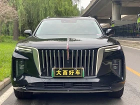 HongQi E-HS9 - 31850 € - 64091058 6