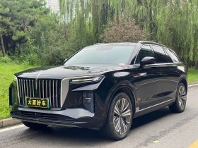 HongQi E-HS9