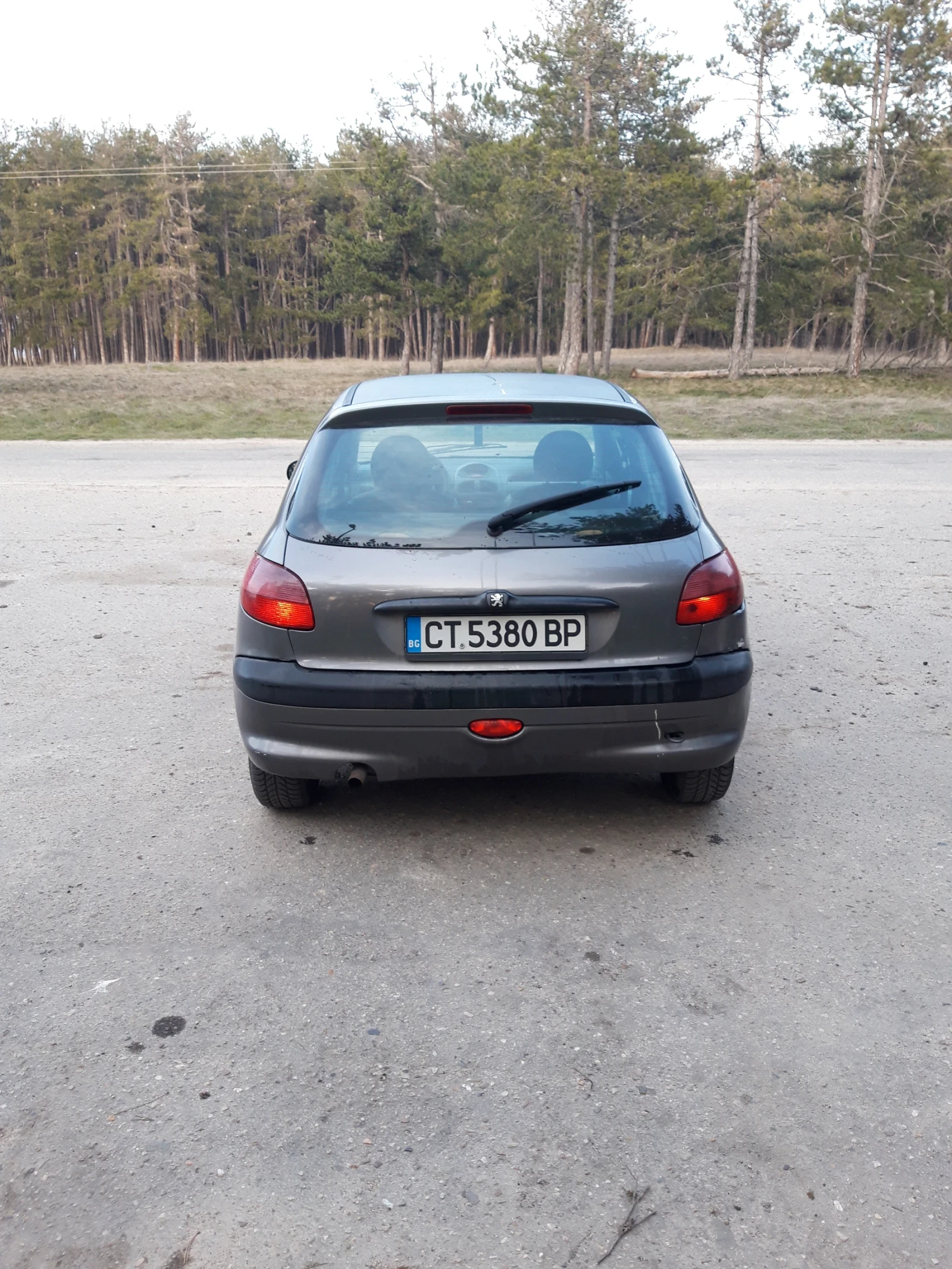 Peugeot 206 1.9D, снимка 6 - Автомобили и джипове - 53879449