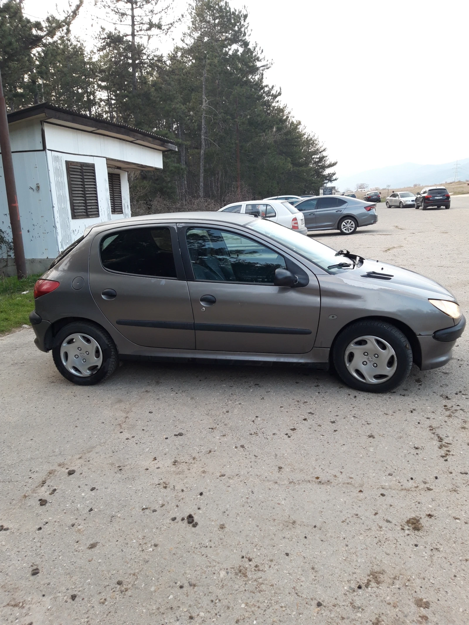 Peugeot 206 1.9D, снимка 4 - Автомобили и джипове - 53879449