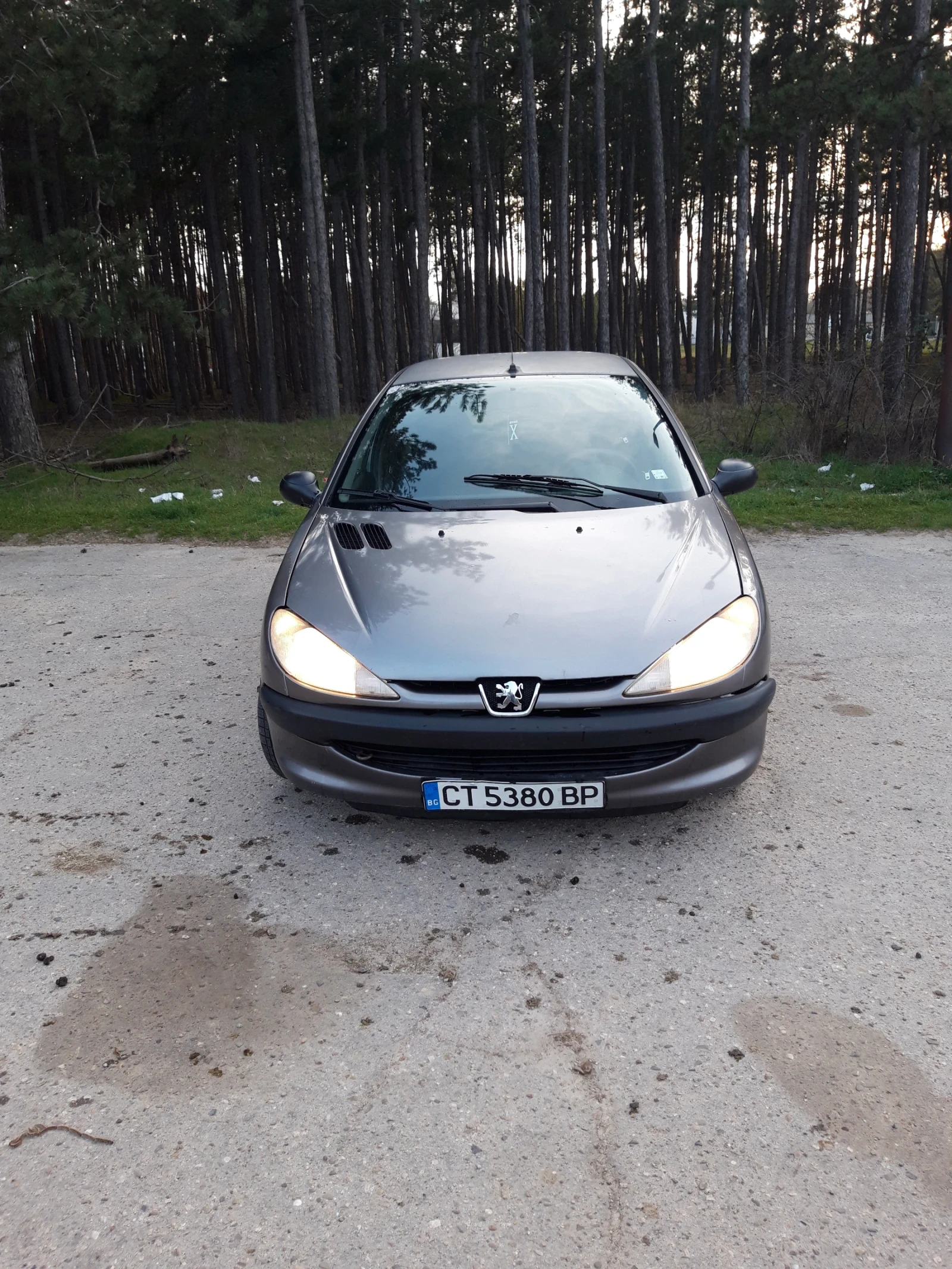 Peugeot 206 1.9D