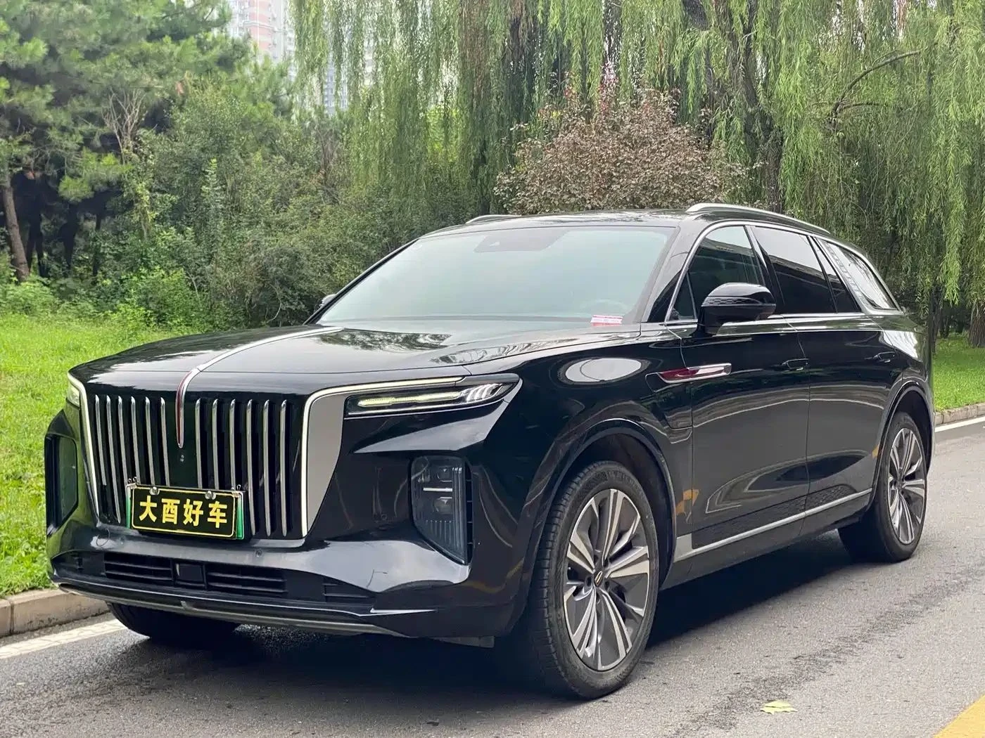 HongQi E-HS9 | Mobile.bg � ����������� 1