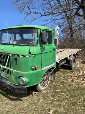     Ifa W
