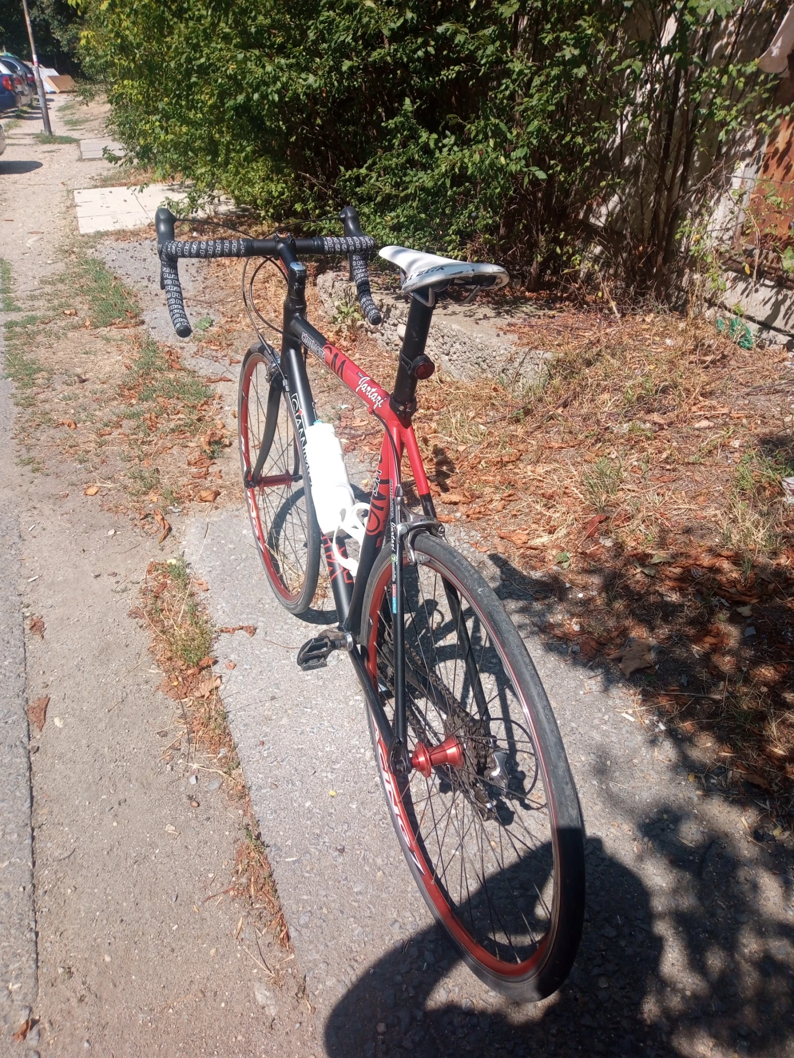  Gianni Motta/  / | Mobile.bg   10