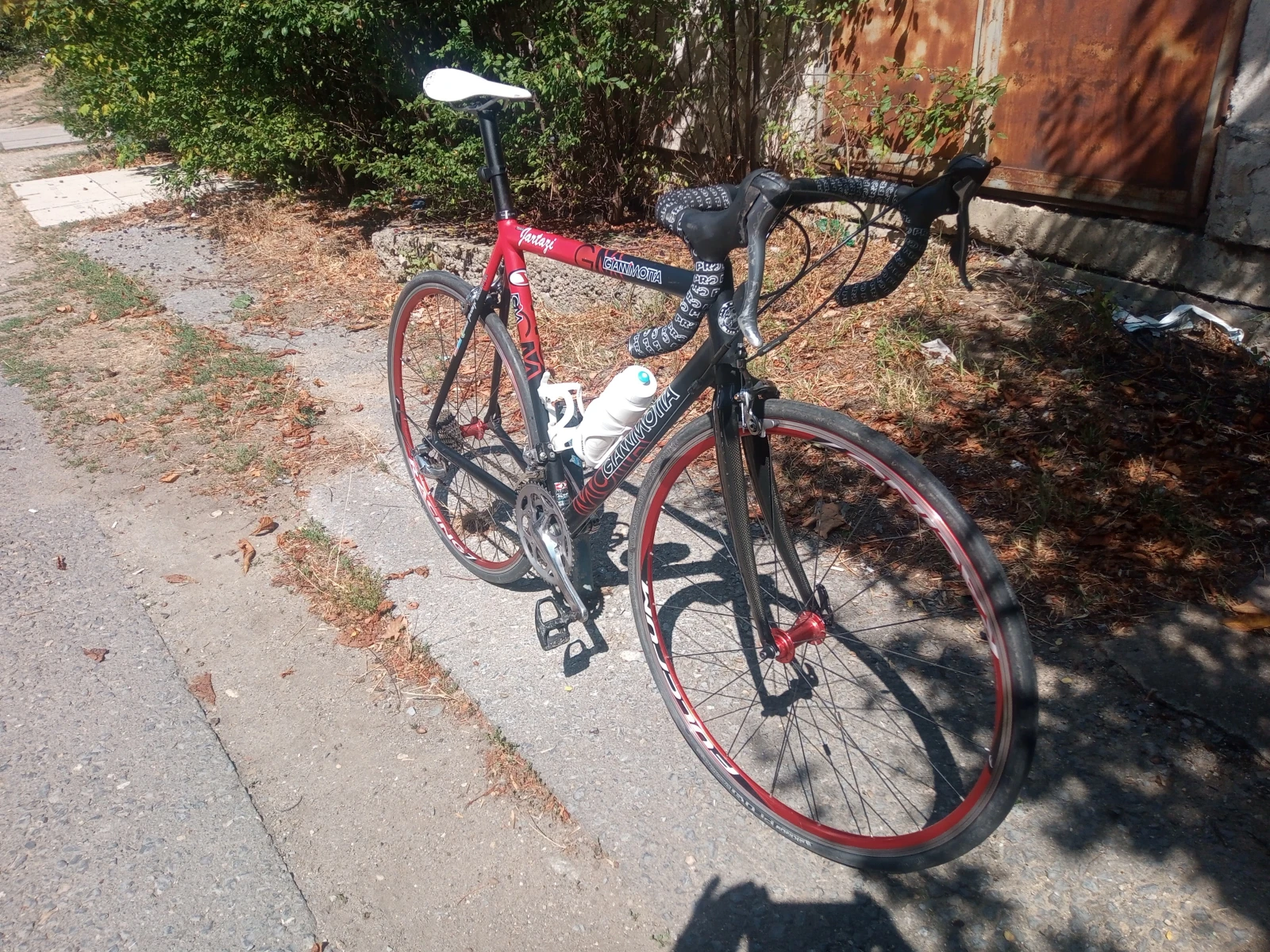  Gianni Motta/  / | Mobile.bg   3