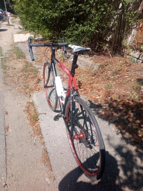  Gianni Motta/  / | Mobile.bg    10