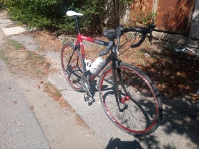  Gianni Motta/  / | Mobile.bg    3