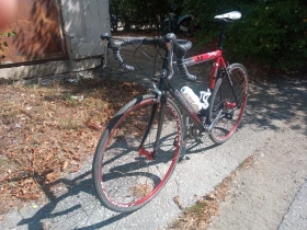  Gianni Motta/  / | Mobile.bg    8