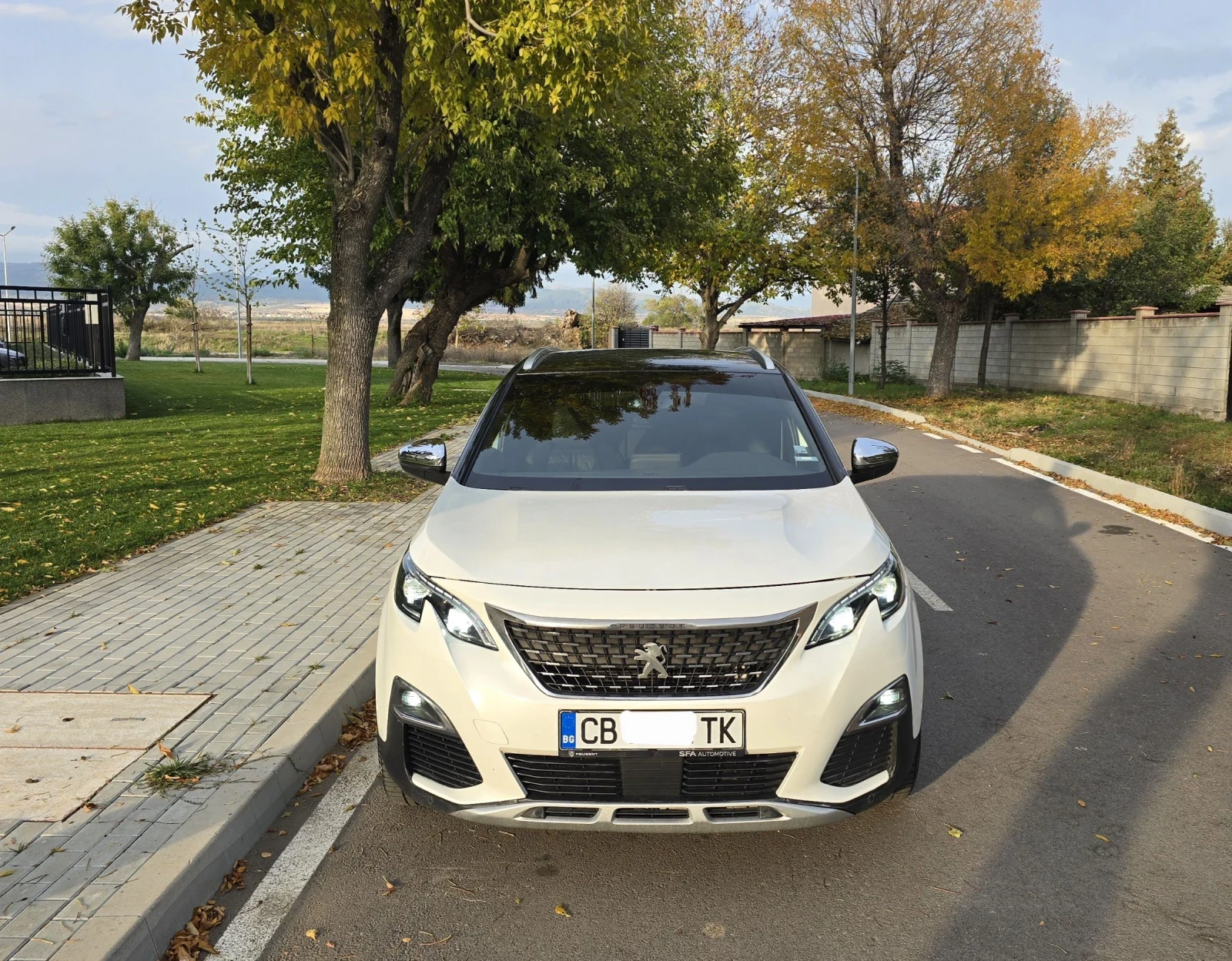 Peugeot 3008 , , ,  ,  | Mobile.bg   1