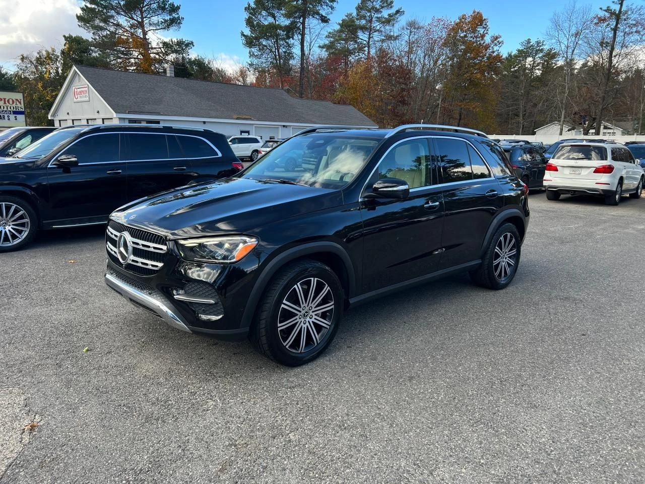 Mercedes-Benz GLE 350  - изображение 2