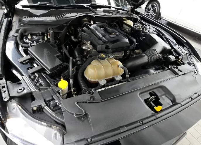 Ford Mustang 3.7 V6 - изображение 6