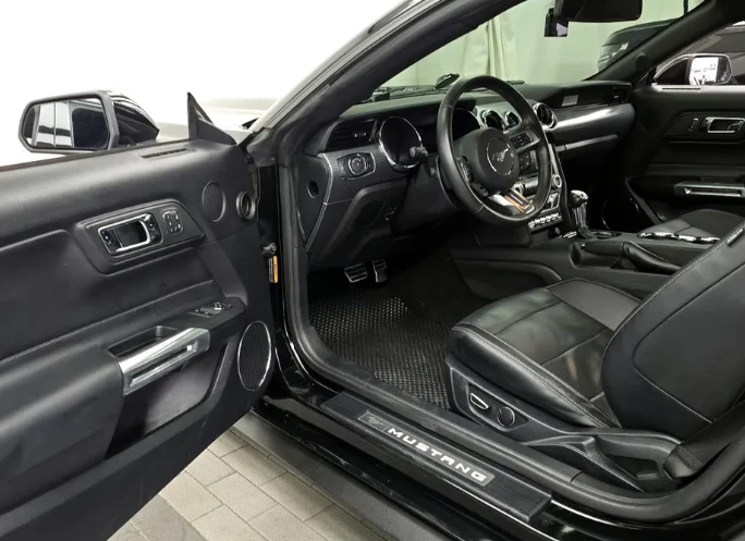 Ford Mustang 3.7 V6 - изображение 10