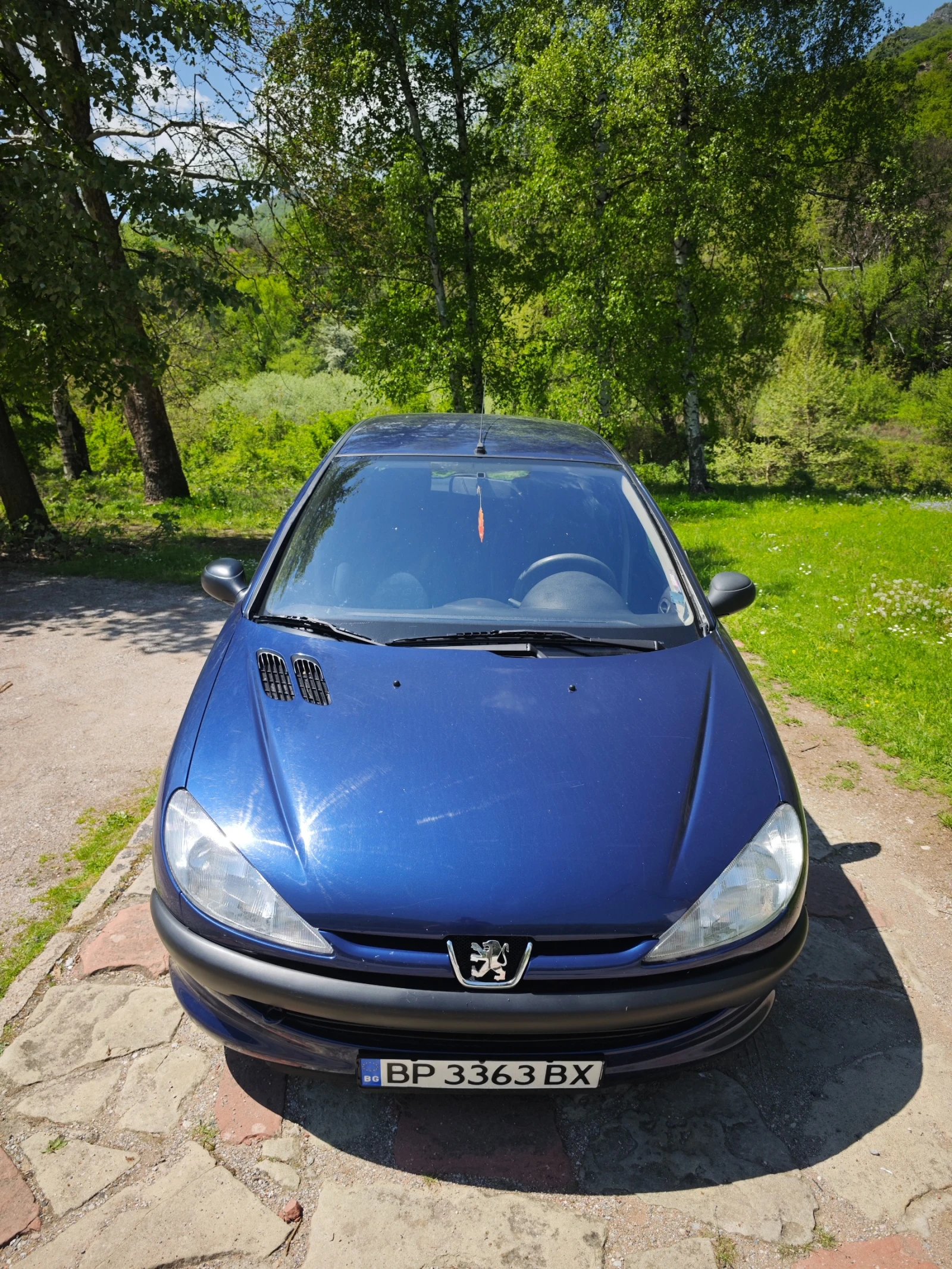 Peugeot 206 1.9D РЕГИСТРАЦИЯ - изображение 2