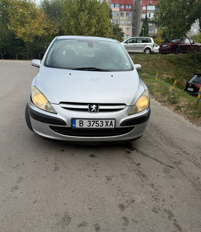 Peugeot 307, снимка 4 - Автомобили и джипове - 55877381