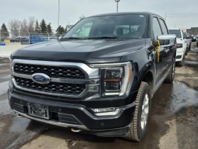 Ford F150 PLATINUM CREW CAB SHORT BED* 