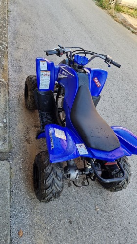 Yamaha Raptor, снимка 6