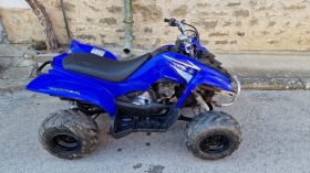 Yamaha Raptor, снимка 3