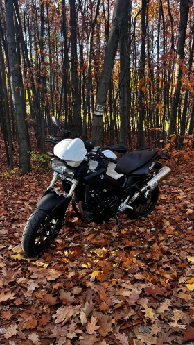 BMW F, снимка 2