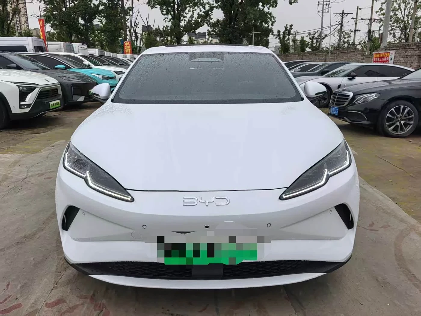 BYD Seal Premium Edition 545km autogeorge.com, снимка 2 - Автомобили и джипове - 54428734