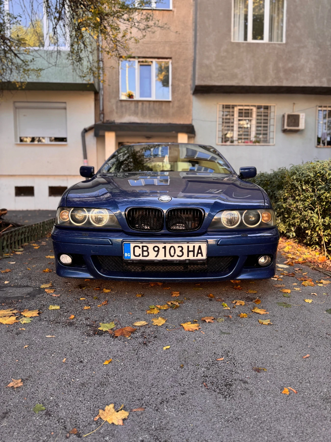 BMW 530 530i | Mobile.bg   1