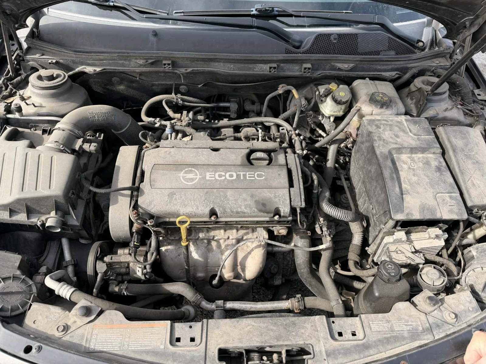 Opel Insignia, снимка 11 - Автомобили и джипове - 53897932