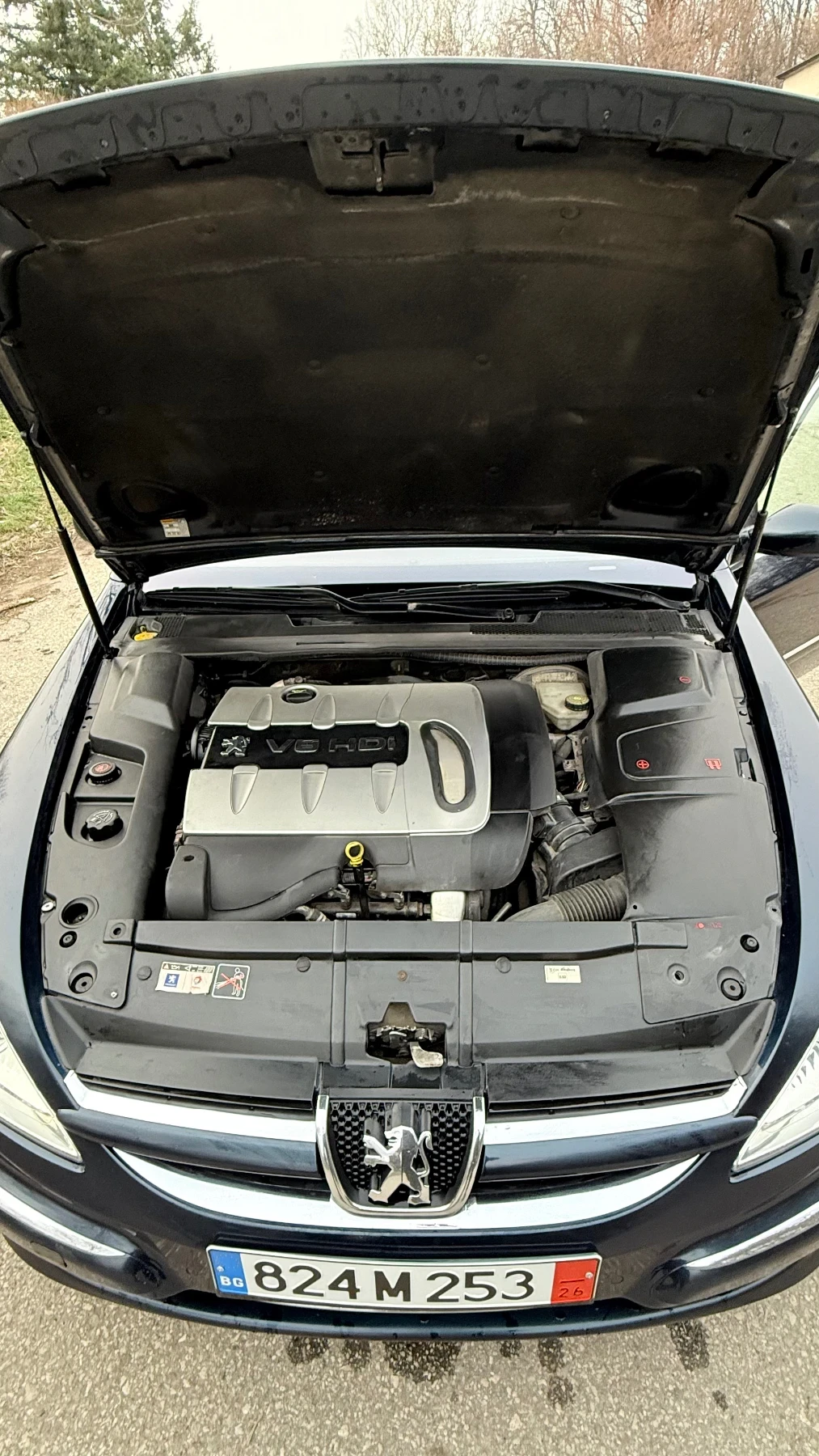 Peugeot 607 607, снимка 6 - Автомобили и джипове - 53929705