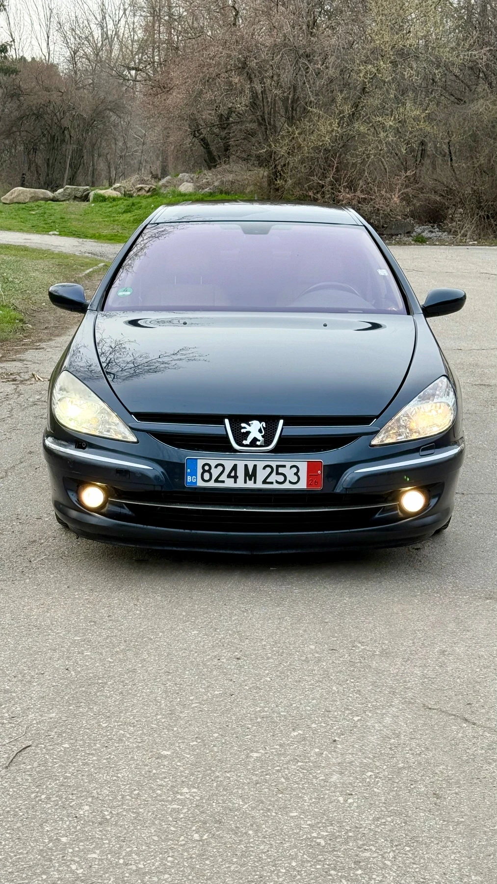 Peugeot 607 607, снимка 13 - Автомобили и джипове - 53929705