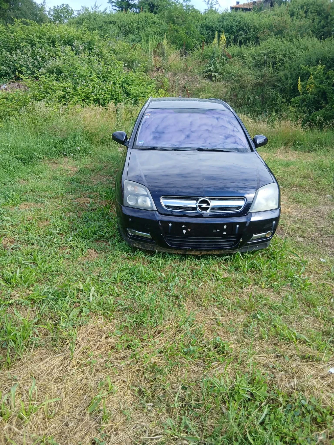 Opel Signum