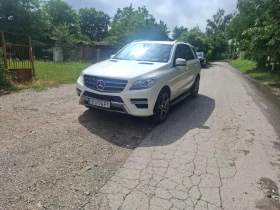 Mercedes-Benz ML 350 Блутек 4 матик, снимка 1
