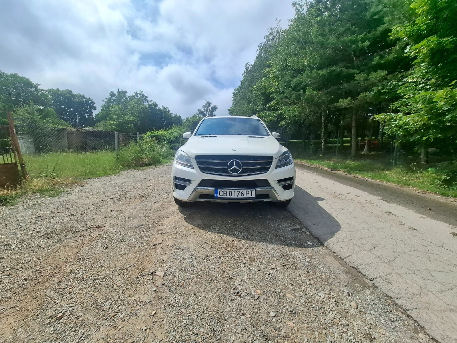 Mercedes-Benz ML 350 Блутек 4 матик, снимка 13 - Автомобили и джипове - 55024164
