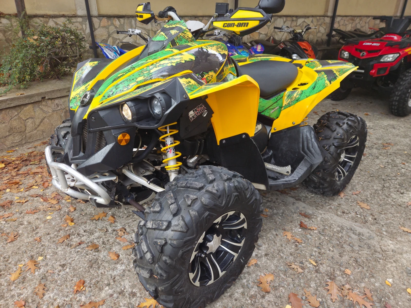 Can-Am Renеgade 800, снимка 2 - Мотоциклети и мототехника - 56745671