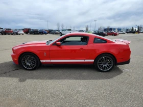 Обява за продажба на Ford Mustang SHELBY GT500 CARFAX АВТО КРЕДИТ  ~59 500 лв. - изображение 3