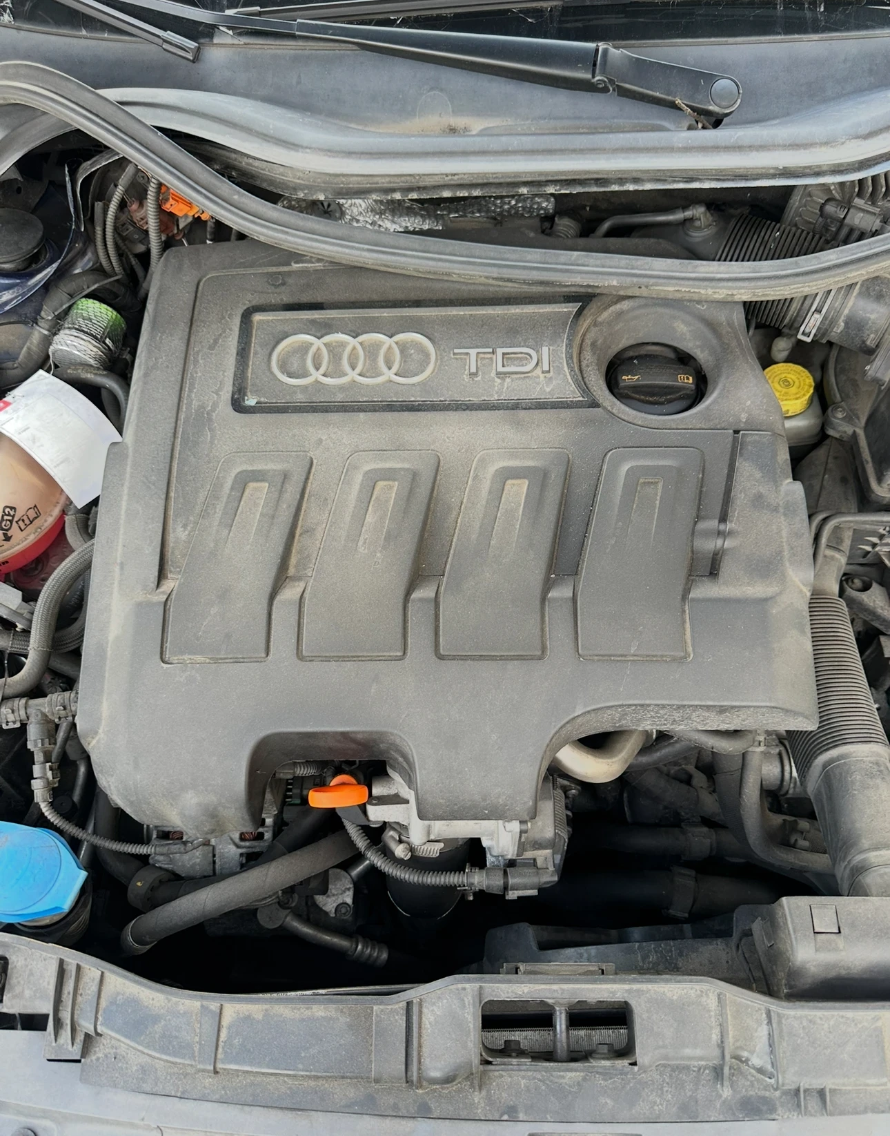 Audi A1 1.6tdi Cay Автомат | Mobile.bg — изображение 15