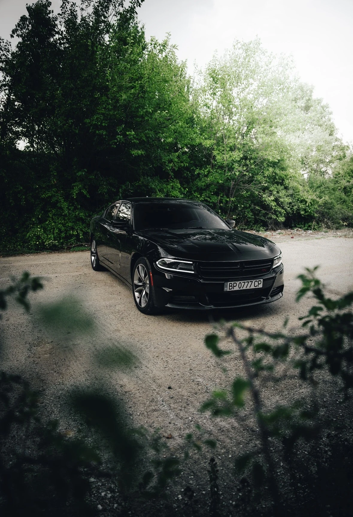 Dodge Charger  - изображение 6