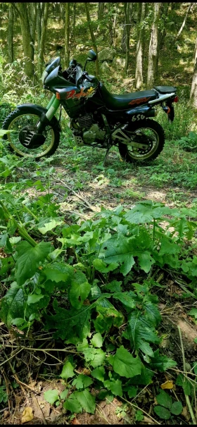 Honda Nx | Mobile.bg � ����� ������ 7