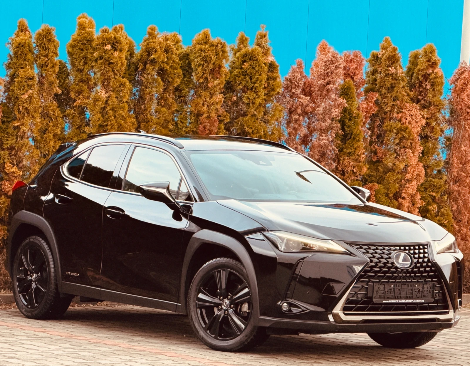 Lexus UX 250h 2.0HYBRID-184��-4�4-KEYLESS-�������-����-���� ���  | Mobile.bg � ����������� 6