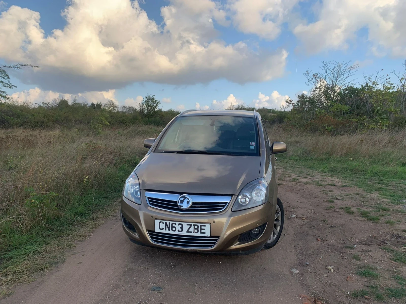 Opel Zafira 1.7 CDTI / DESIGN | Mobile.bg � ����������� 3