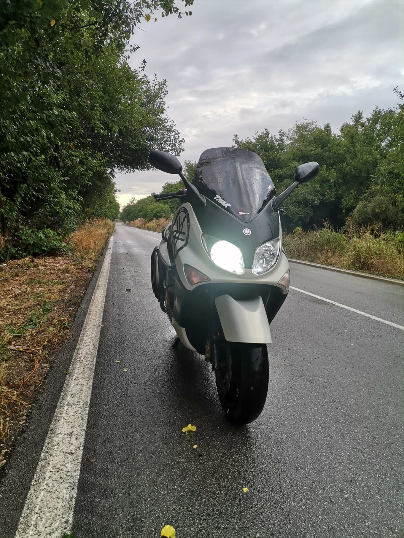 Yamaha T-max
